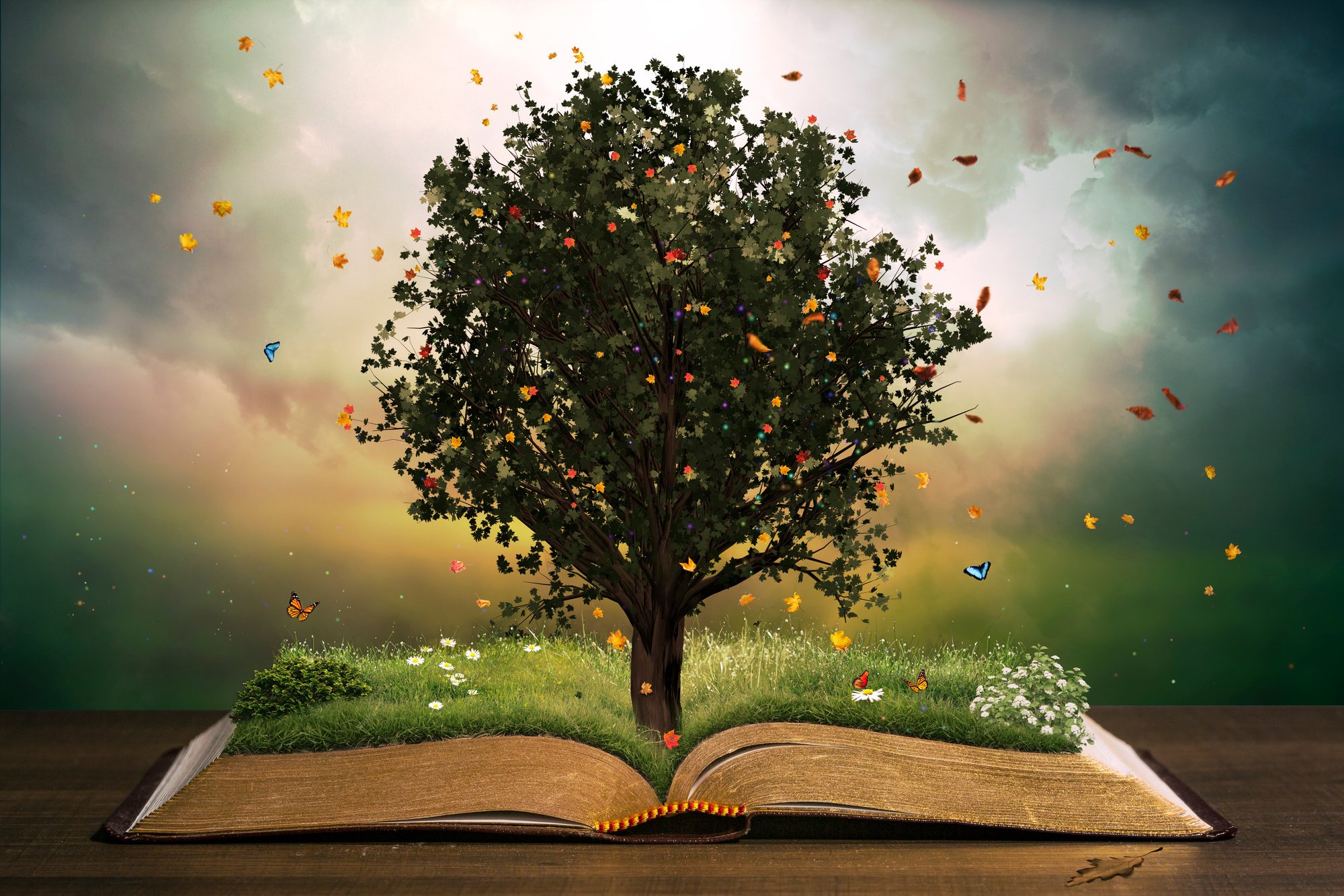 Tree with grass on an open book